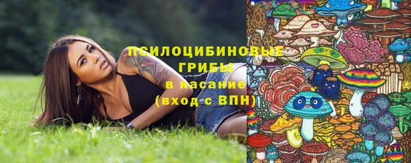 мяу мяу мука Карталы